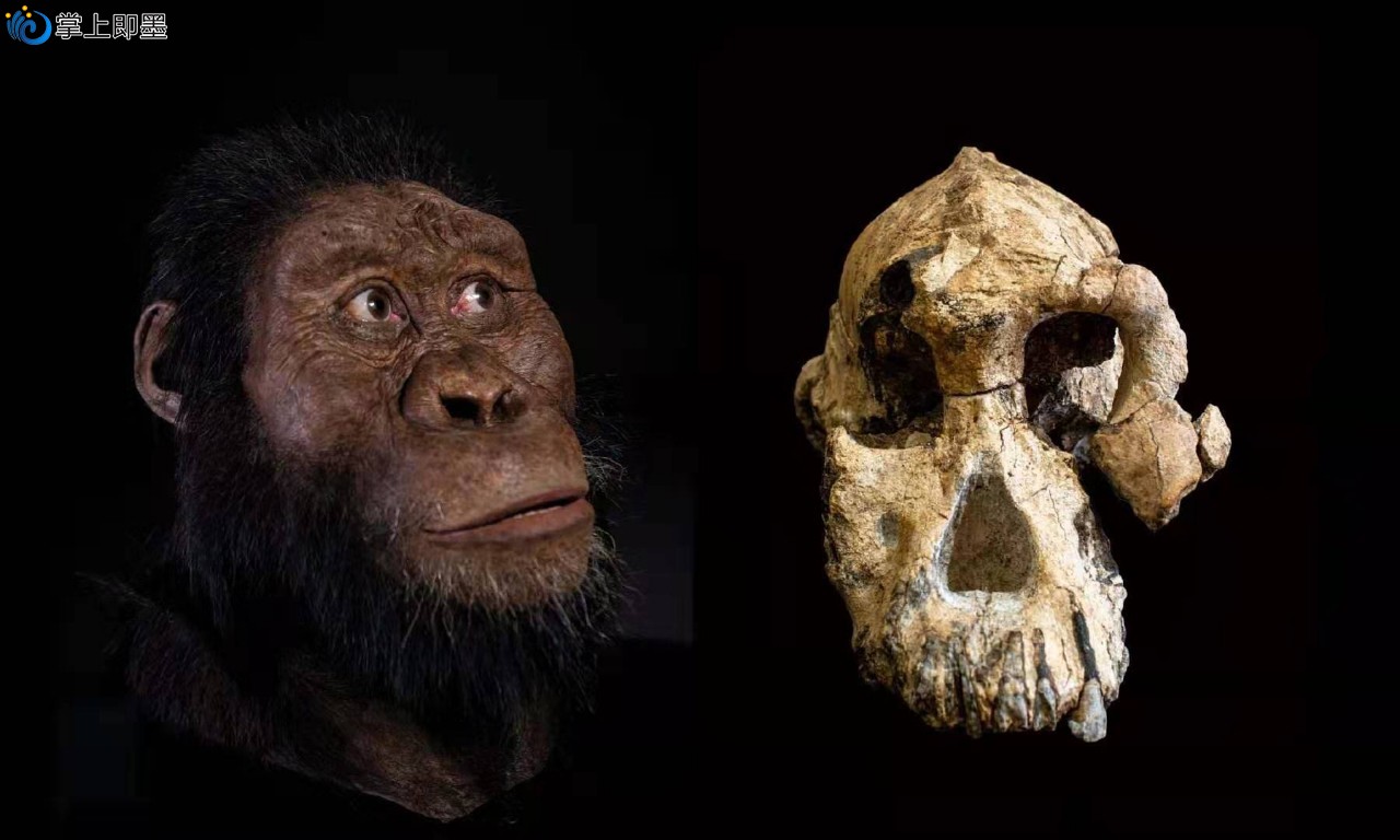 380万年前人类祖先长这样!