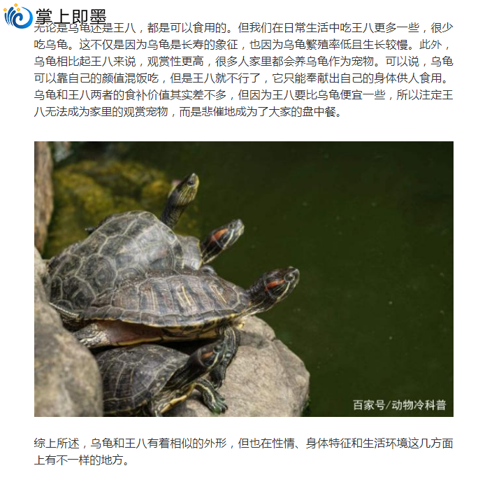 广西钓友用水库钓鲫鱼钓到壳的乌龟放生龟